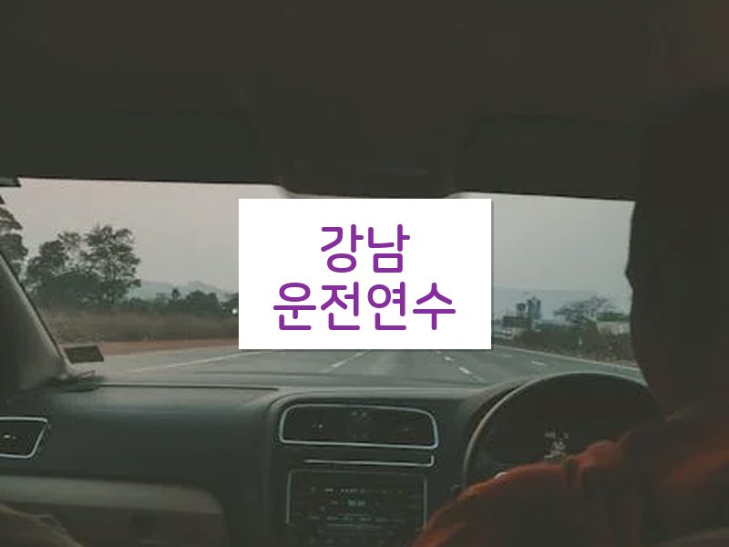 강남운전연수 후기