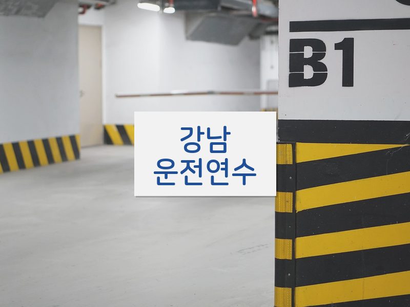 강남운전연수 후기
