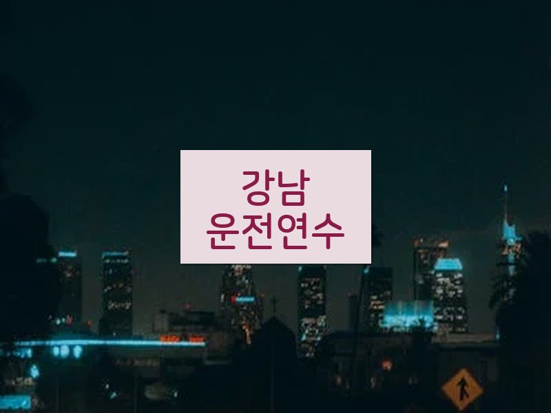 강남운전연수 후기