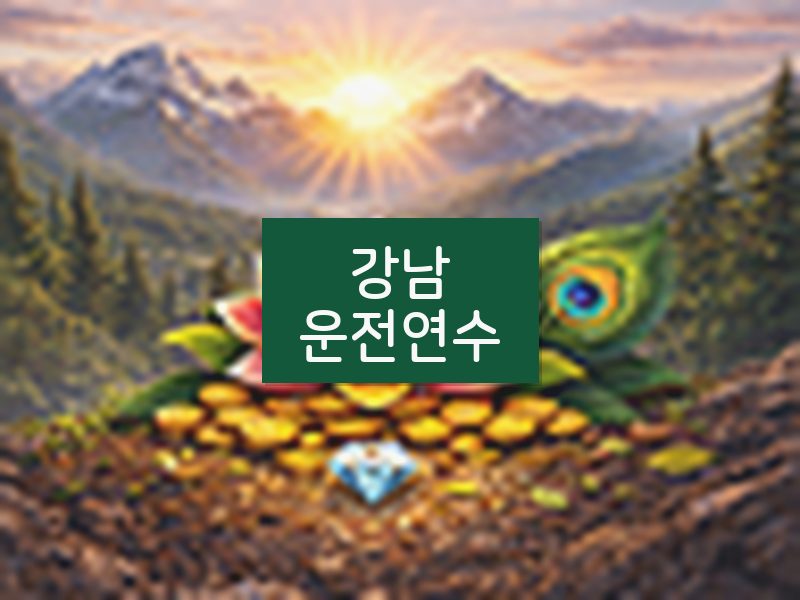 강남운전연수 후기