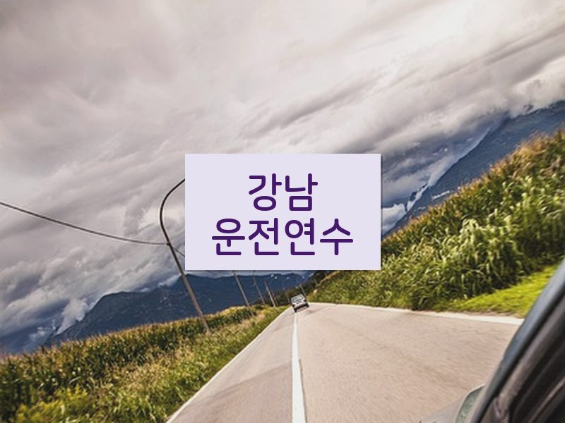 강남운전연수 후기