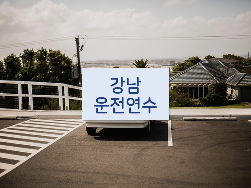강남운전연수 후기