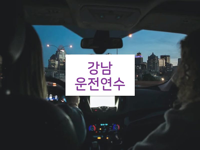 강남운전연수 후기