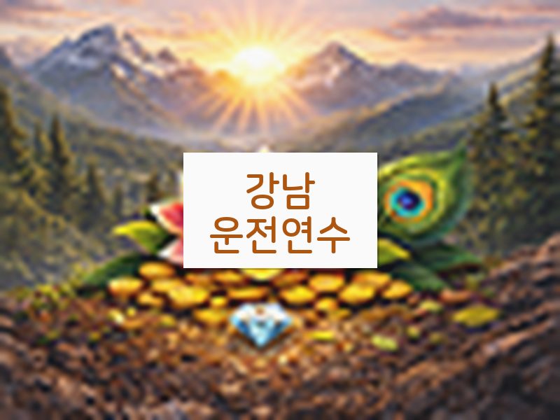 강남운전연수 후기
