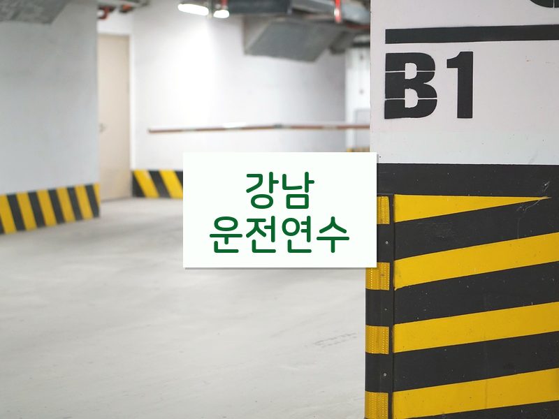 강남운전연수 후기