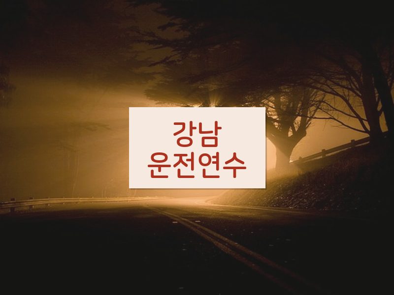 강남운전연수 후기