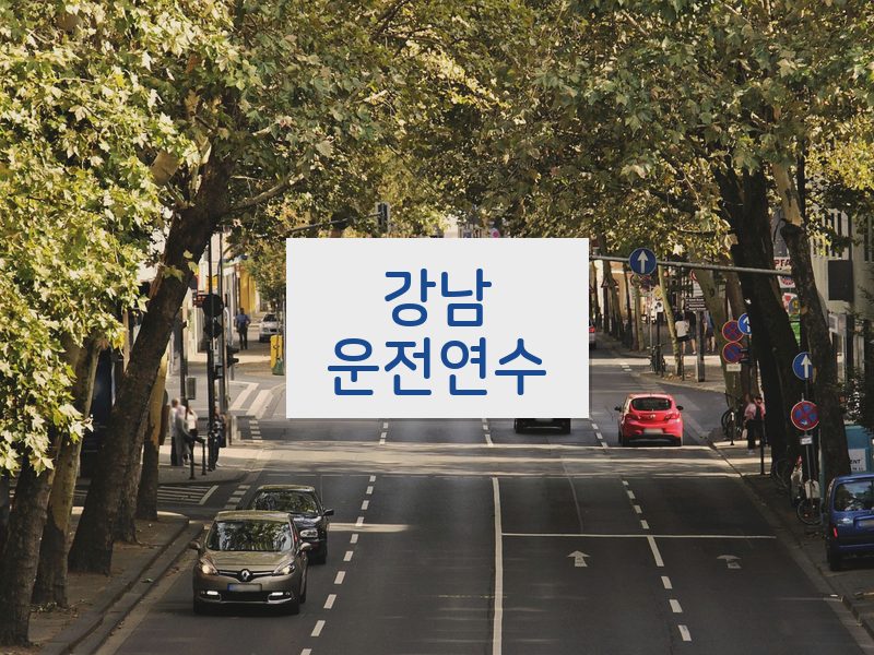 강남운전연수 후기