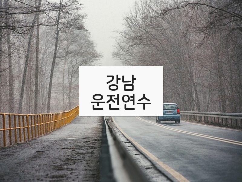 강남운전연수 후기