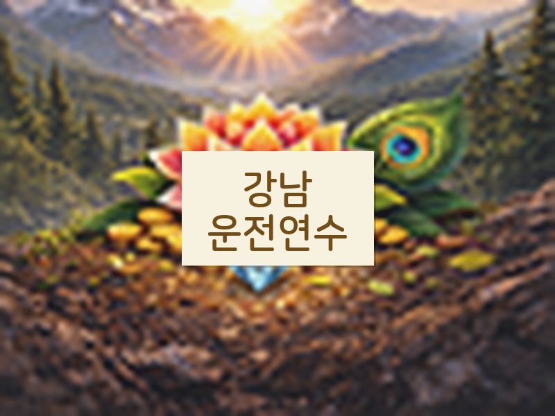 강남운전연수 후기
