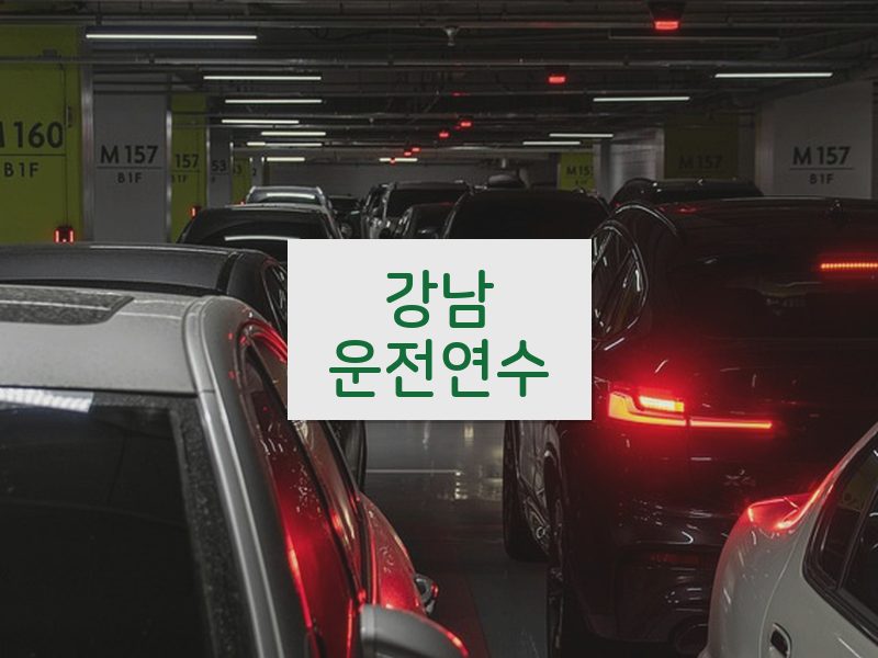 강남운전연수 후기