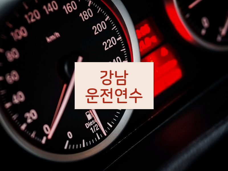 강남운전연수 후기