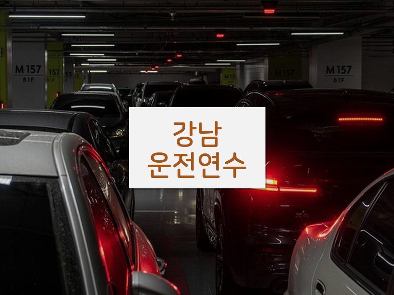 강남운전연수 후기