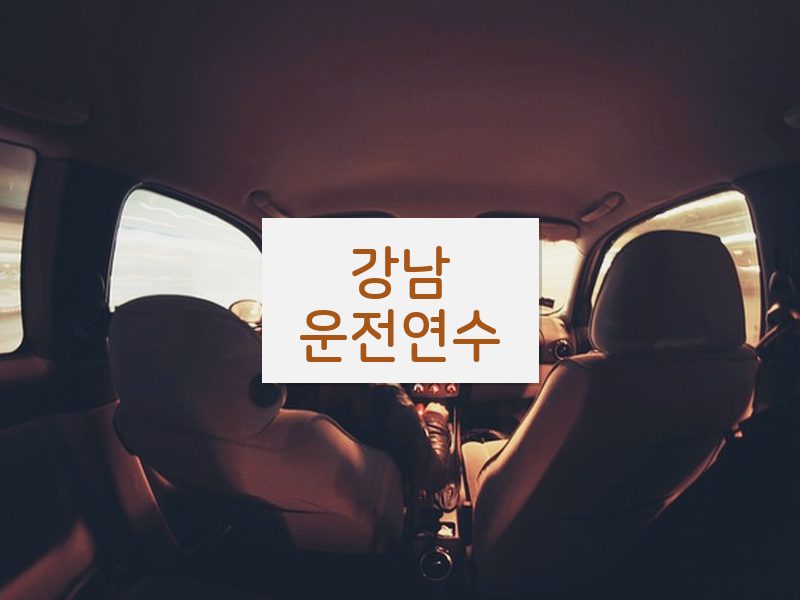 강남운전연수 후기