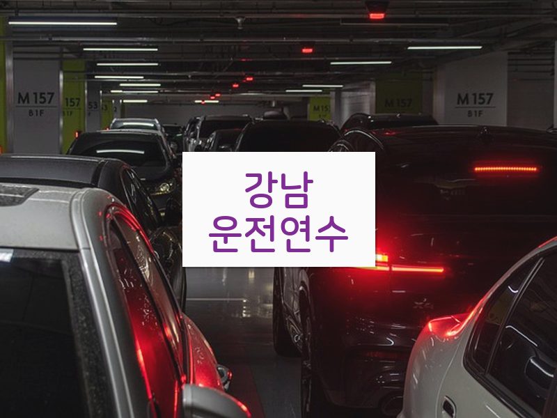 강남운전연수 후기