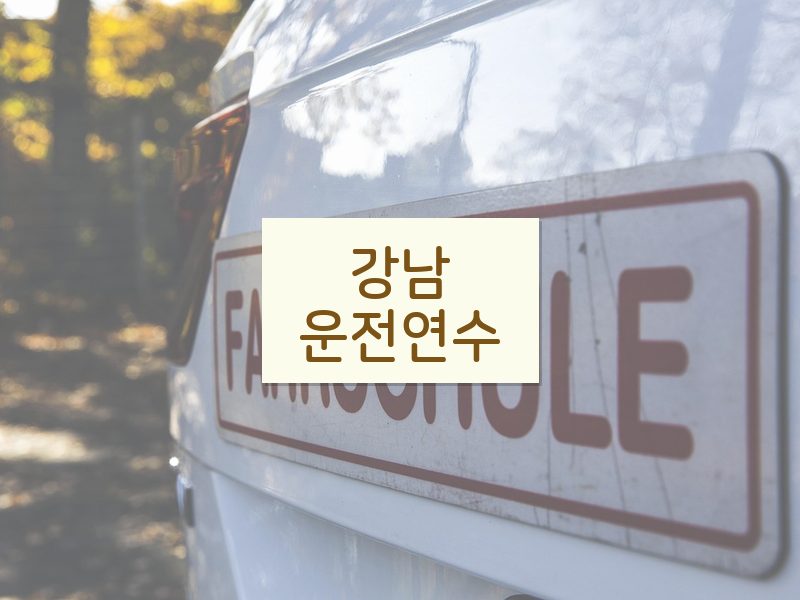 강남운전연수 후기