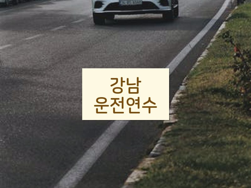 강남운전연수 후기