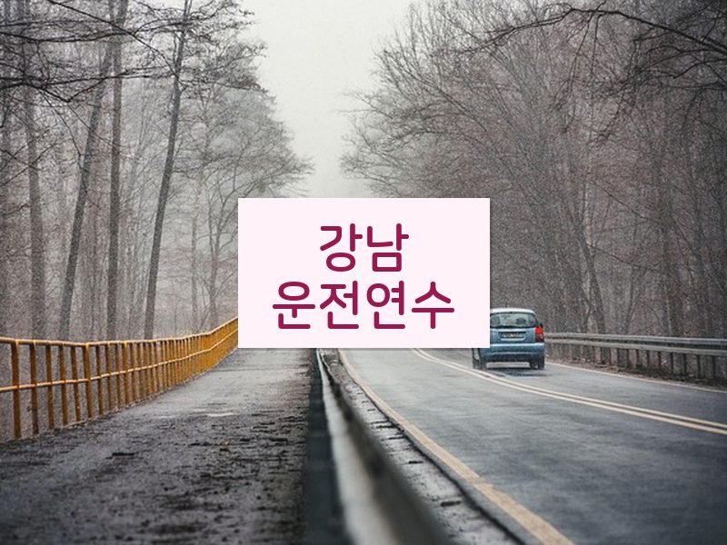 강남운전연수 후기