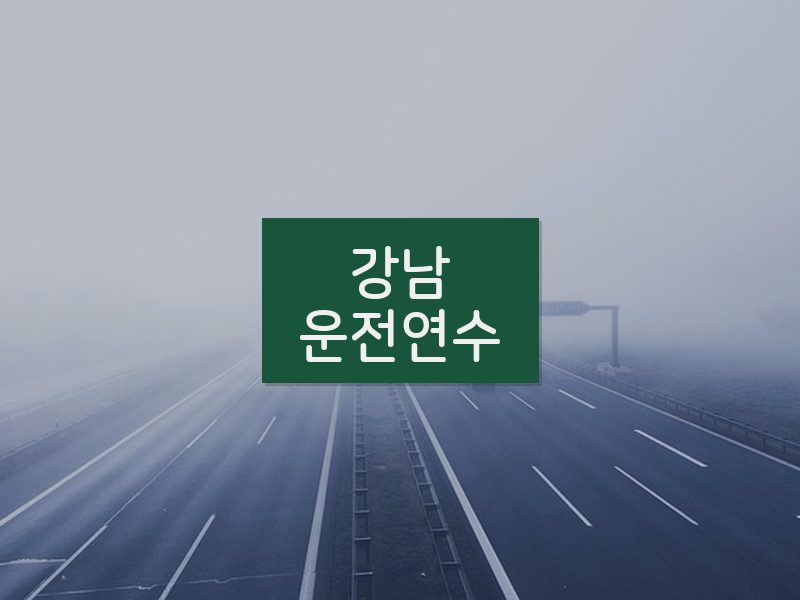 강남운전연수 후기