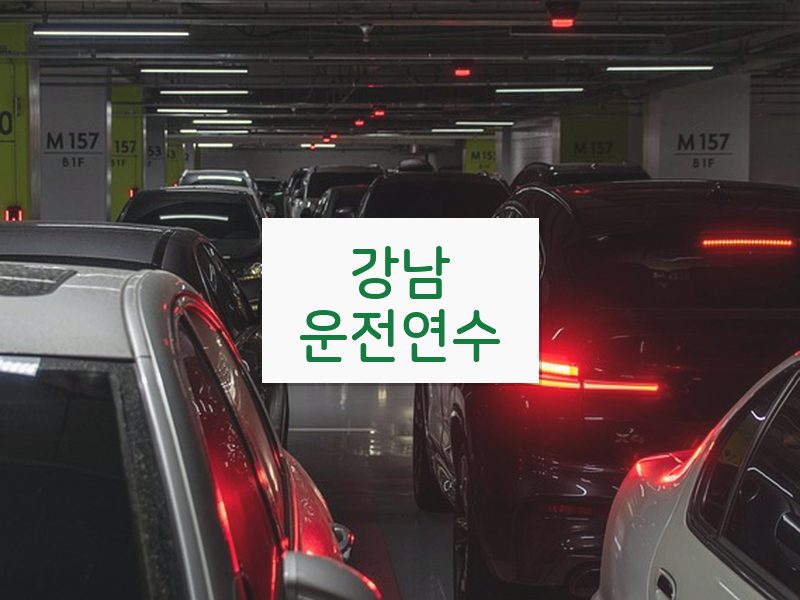 강남운전연수 후기