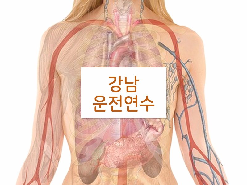 강남운전연수 후기