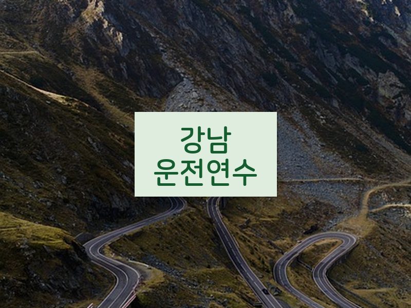 강남운전연수 후기