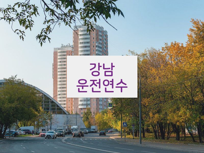 강남운전연수 후기
