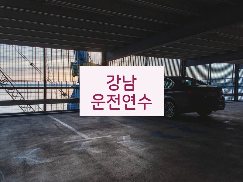 강남운전연수 후기