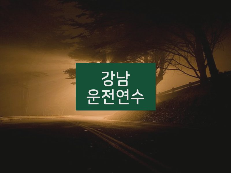 강남운전연수 후기