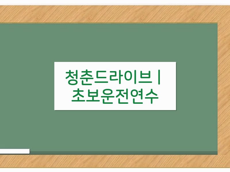 청춘드라이브 | 초보운전연수 후기