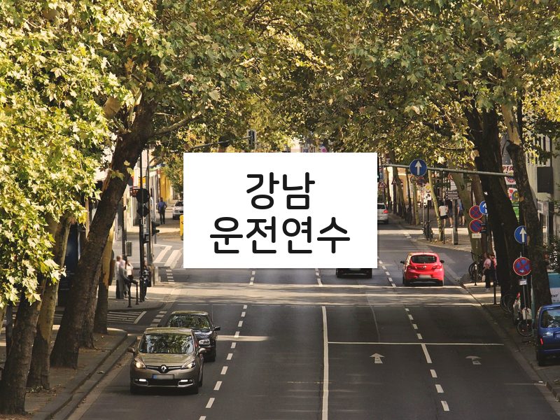 강남운전연수 후기