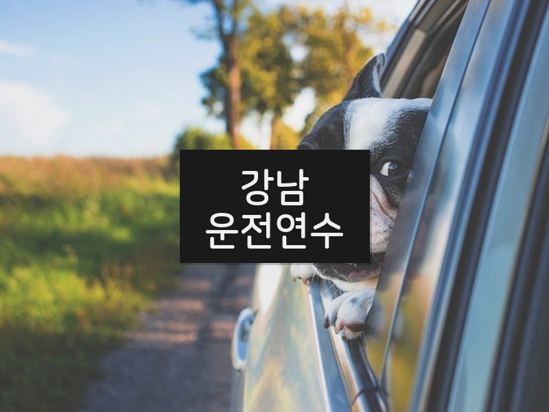 강남운전연수 후기