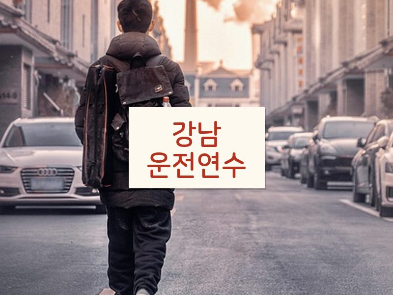 강남운전연수 후기