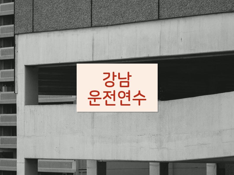 강남운전연수 후기