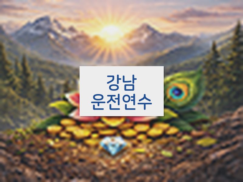 강남운전연수 후기