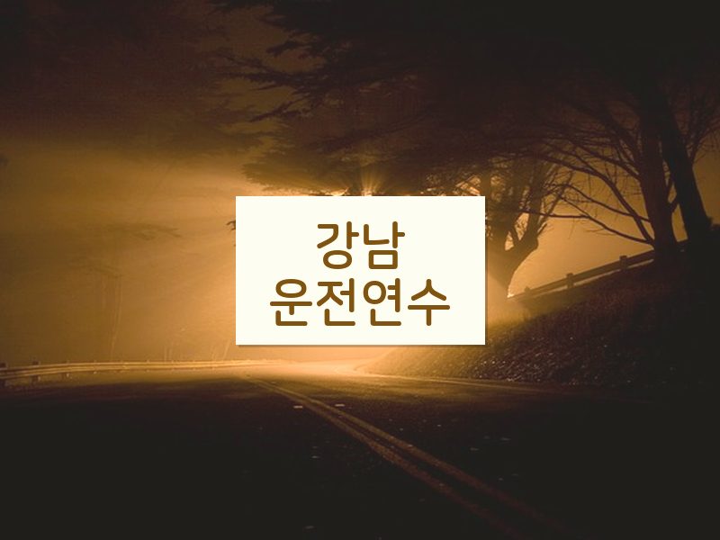 강남운전연수 후기