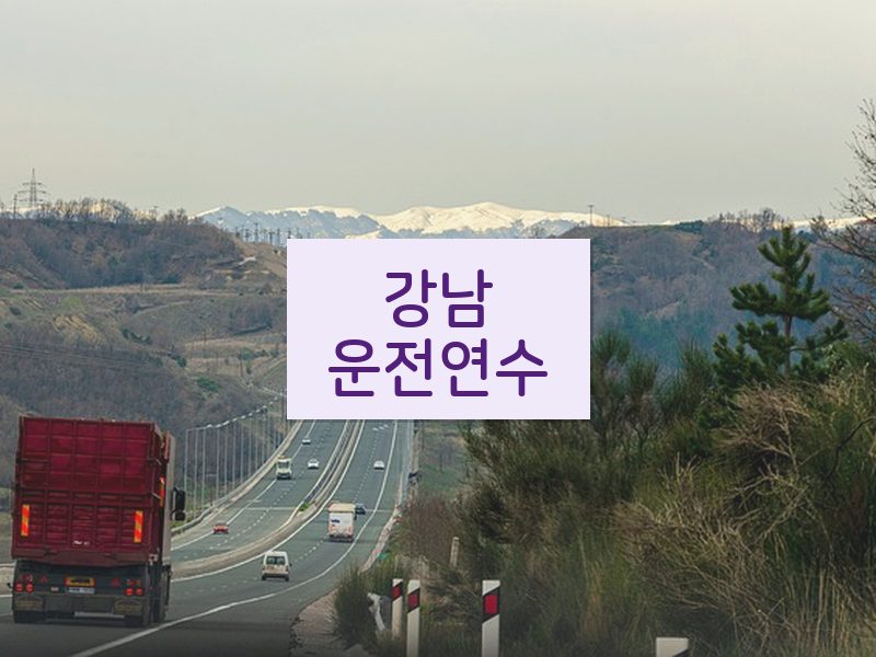 강남운전연수 후기