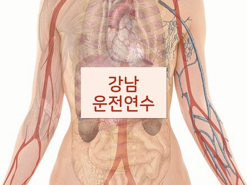 강남운전연수 후기