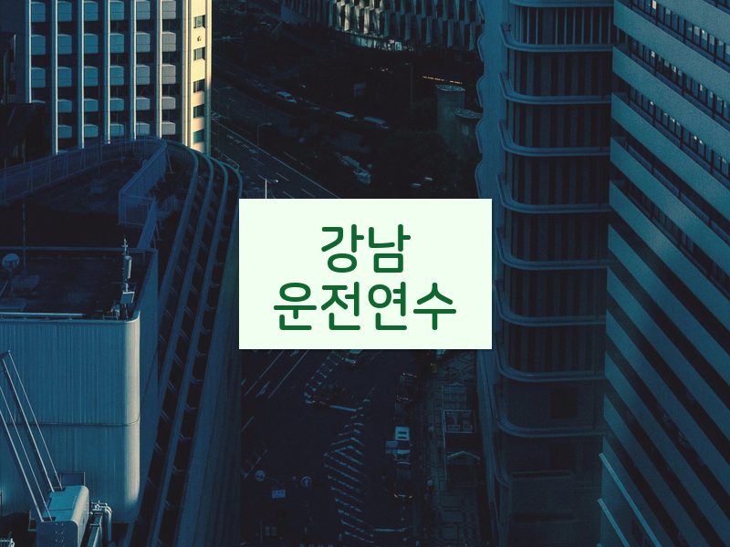 강남운전연수 후기