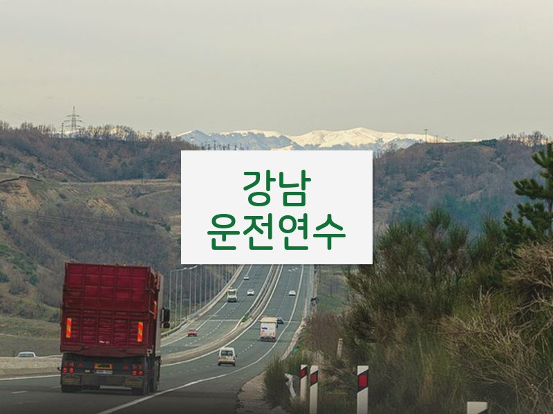강남운전연수 후기