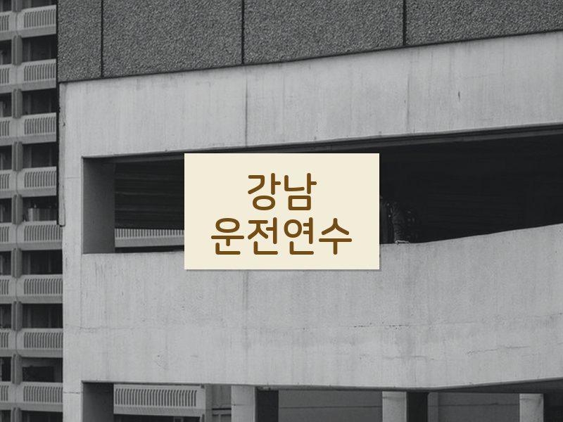 강남운전연수 후기