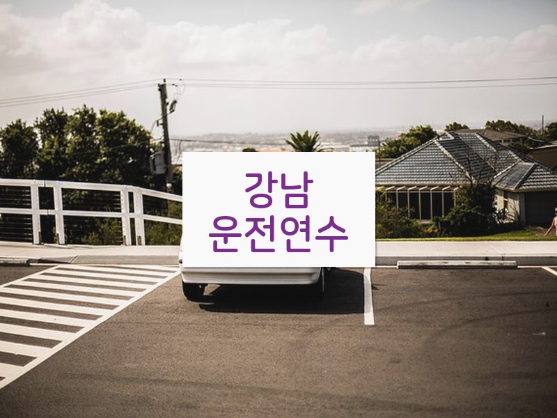 강남운전연수 후기