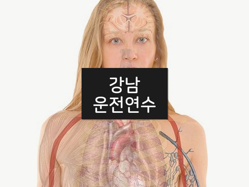 강남운전연수 후기
