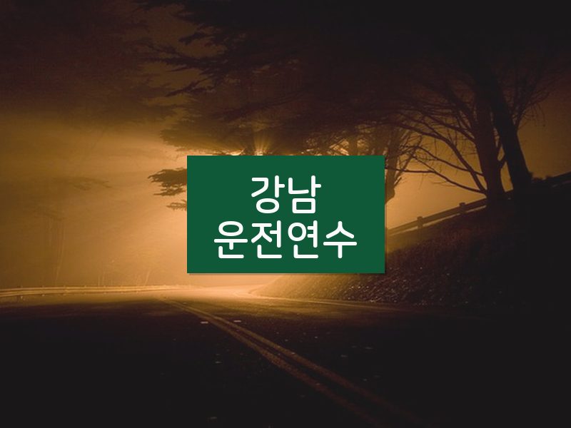 강남운전연수 후기