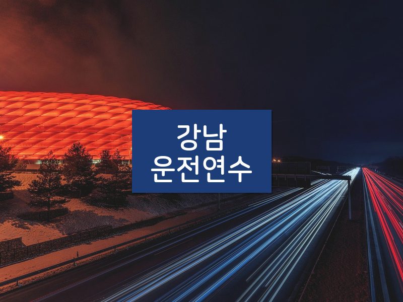 강남운전연수 후기