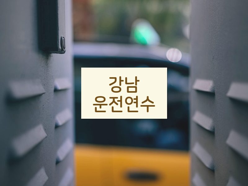 강남운전연수 후기