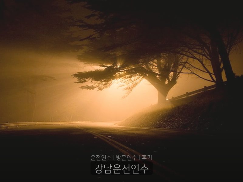 강남운전연수 후기