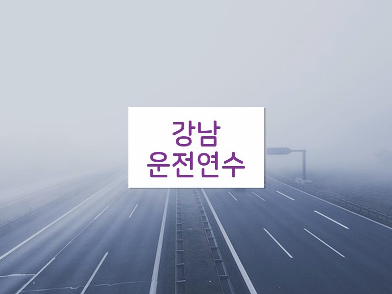 강남운전연수 후기