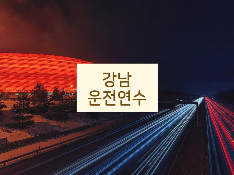 강남운전연수 후기