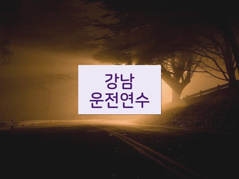 강남운전연수 후기