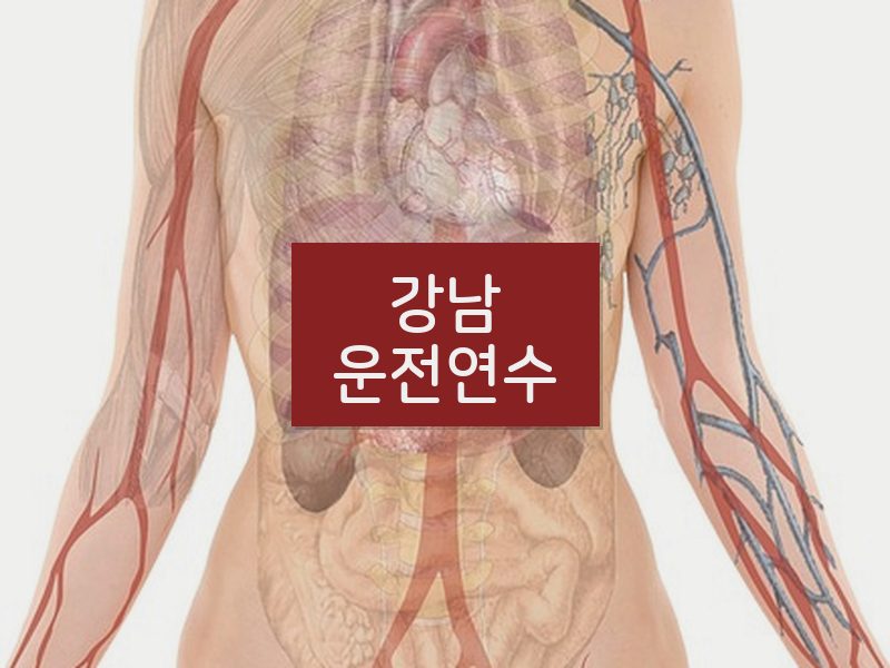 강남운전연수 후기